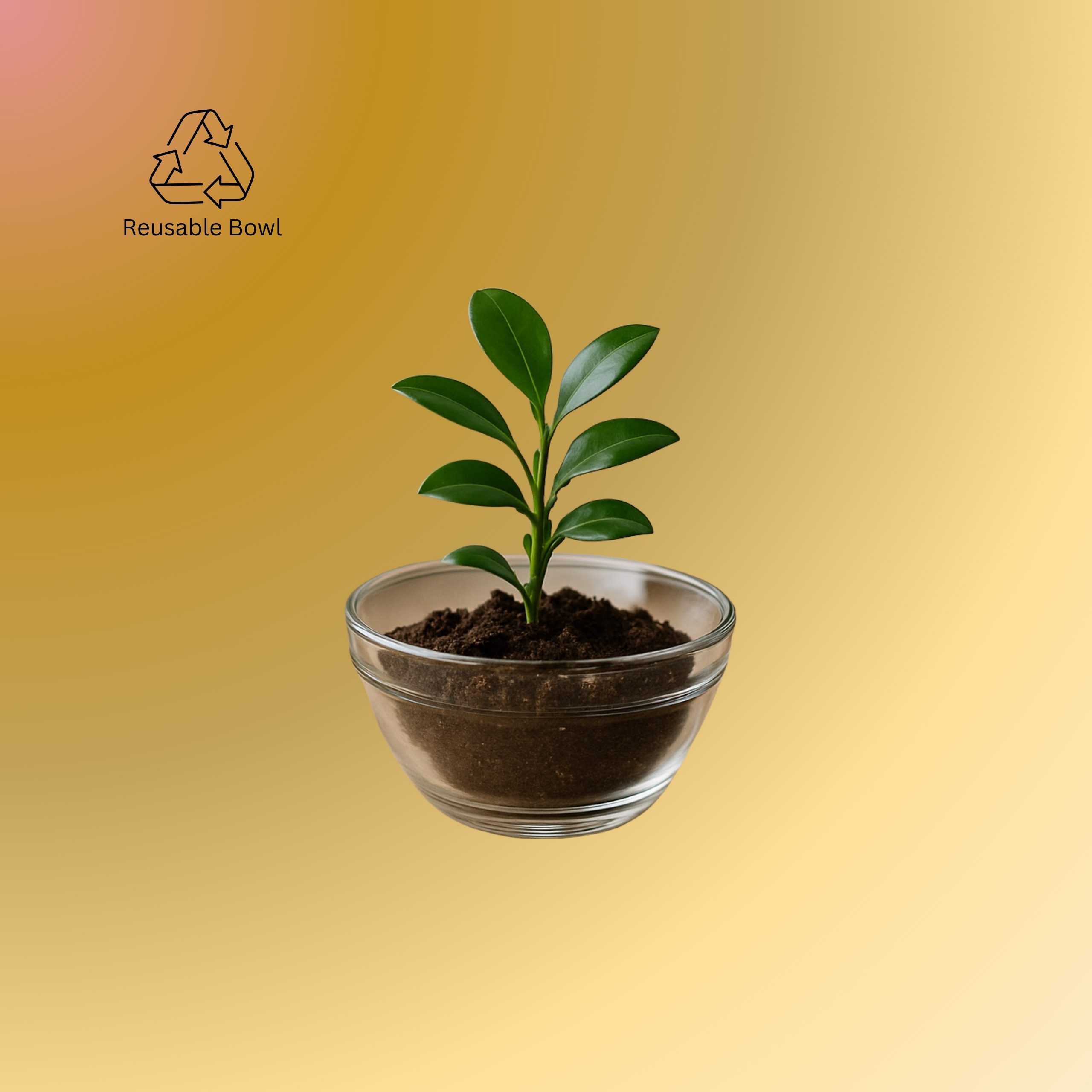 Gulab Jamun Scented Candle – Saffron Bliss (Pure Soy Wax | Glass Bowl) - Image 4