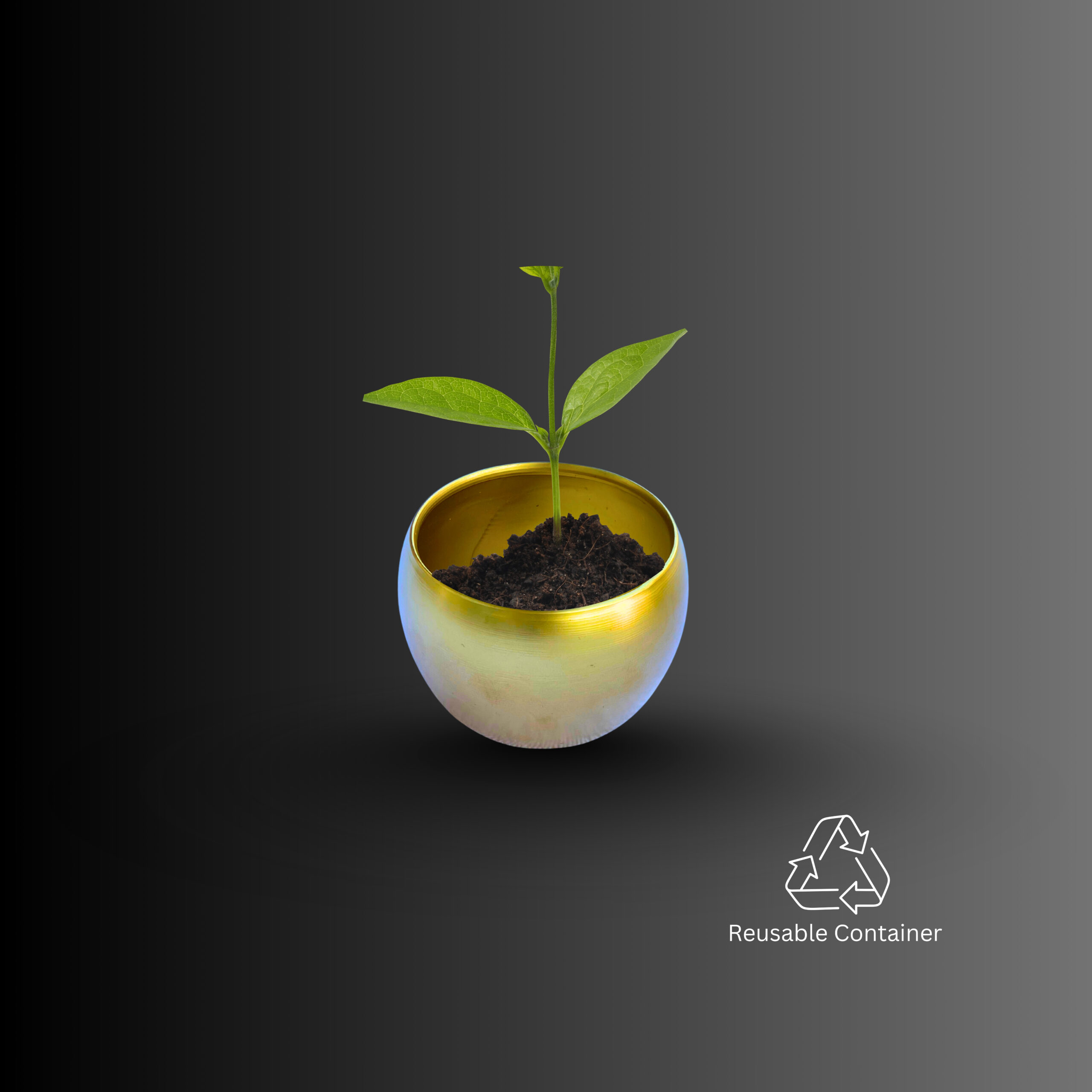 AMOURA ORIGINAL | Golden Glow Scented Candle - Image 6