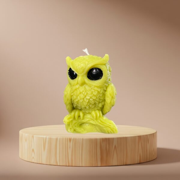 Amoura Wise Flame Owl